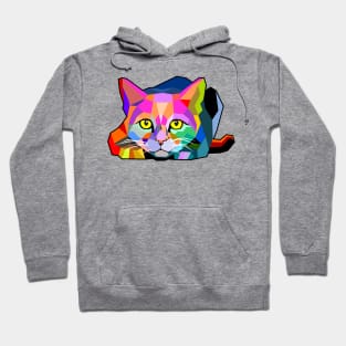 Crouching cat geometric Hoodie